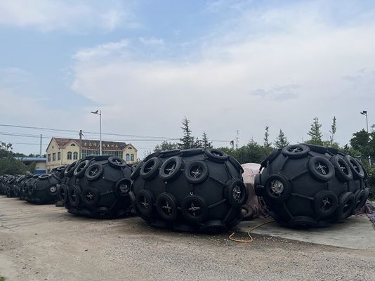 คุณภาพ โยโกฮาม่า นูทาราล ยางแฟนเดอร์กับสต็อกยางเอสเอส สีดํา / สีเทา โรงงาน