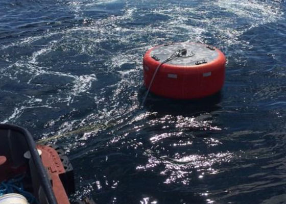 คุณภาพ ทุ่นลอยน้ำในทะเล โรงงาน