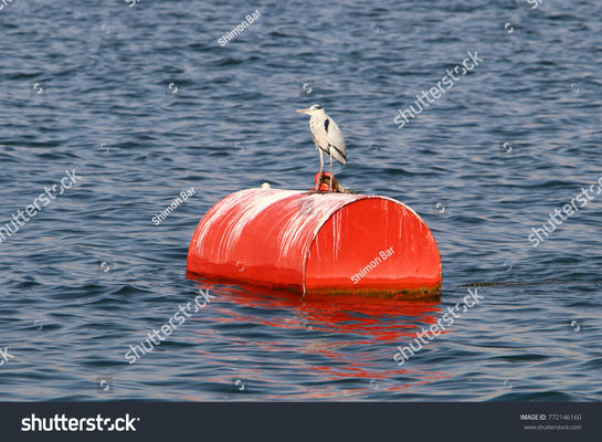 คุณภาพ ทุ่นลอยน้ำแบบลอยตัวสำหรับเรือเหล็กเดี่ยวพร้อมโฟมมัลติฟังก์ชั่น โรงงาน