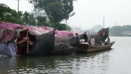 คุณภาพ Marine Inflatable Boat Hydro Pneumatic Fender ยางบังโคลนเรือลอยน้ำ โรงงาน