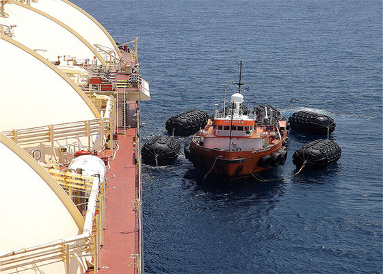 คุณภาพ D3.3 * 6.5L D1.2 * 2L STS STD การจัดส่งสินค้าทางทะเลยางลม Fneder โรงงาน